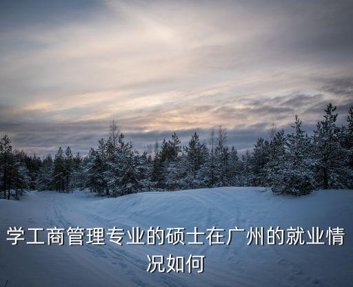 廣州碩士研究生就業，學工商管理專業的碩士在廣州的就業情況如何