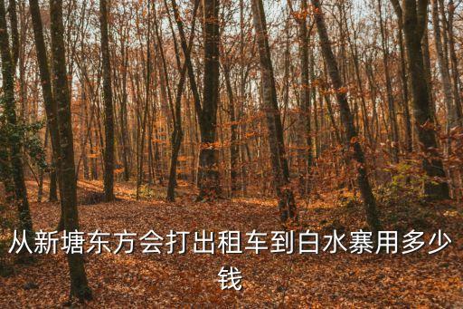 從新塘東方會打出租車到白水寨用多少錢
