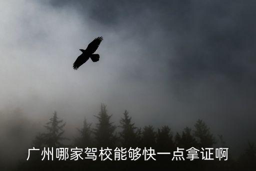 廣州駕校快拿，廣州哪家駕校能夠快一點拿證啊