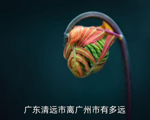 廣東清遠(yuǎn)市離廣州市有多遠(yuǎn)