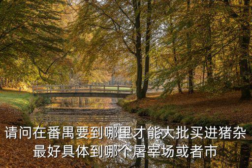 請問在番禺要到哪里才能大批買進豬雜最好具體到哪個屠宰場或者市