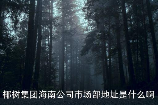 海南椰樹集團駐廣州辦事處，椰樹集團海南公司市場部地址是什么啊