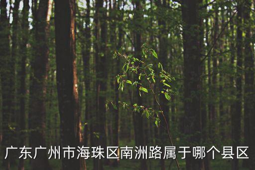 廣東廣州市海珠區南洲路屬于哪個縣區