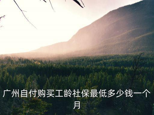 廣州自付購買工齡社保最低多少錢一個月