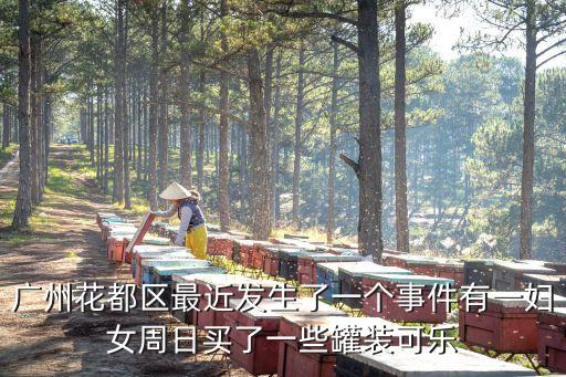 廣州最新發(fā)生的事，廣州出了什么重大事件