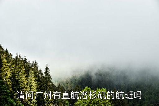 請問廣州有直航洛杉磯的航班嗎