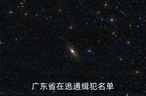 廣東省在逃通緝犯名單