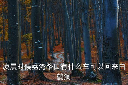 凌晨時候荔灣路口有什么車可以回來白鶴洞