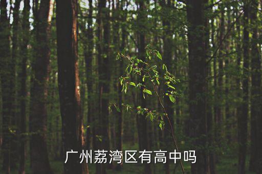 廣州市荔灣區(qū)的普通高中，廣州市荔灣區(qū)有什么中學(xué)