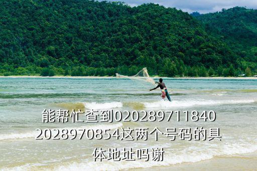能幫忙查到0202897118402028970854這兩個號碼的具體地址嗎謝