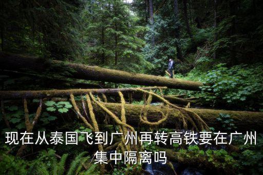 現在從泰國飛到廣州再轉高鐵要在廣州集中隔離嗎