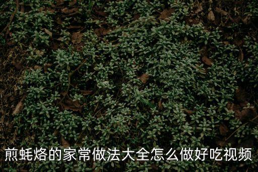 廣州煎蠔烙視頻，蠔烙的做法詳解