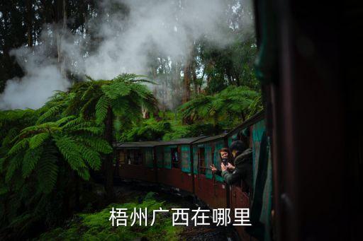 廣州市有梧州這個地方嗎，梧州是屬于廣州的么