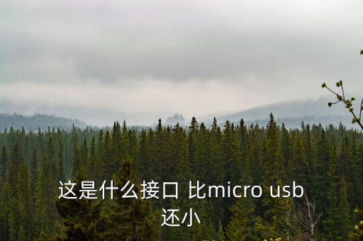 廣州micro加長接口，廣佳源是Micro USB接口生產廠家嗎