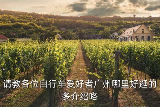 請教各位自行車愛好者廣州哪里好逛的多介紹咯