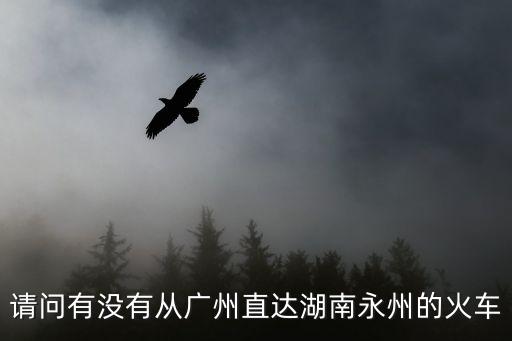 從廣州可以坐火車回湖南嗎，我在廣州怎么座火車回湖南啊