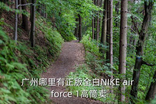 廣州哪里有正版全白NIKE air force 1高筒賣