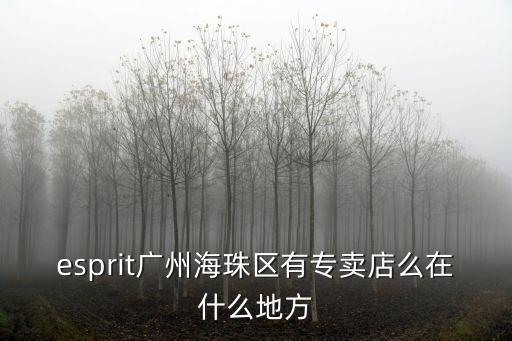 esprit廣州海珠區有專賣店么在什么地方