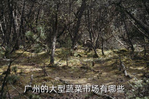 廣州菜市場有什么，廣州的大型蔬菜市場有哪些
