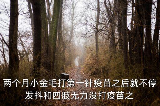 兩個月小金毛打第一針疫苗之后就不停發(fā)抖和四肢無力沒打疫苗之