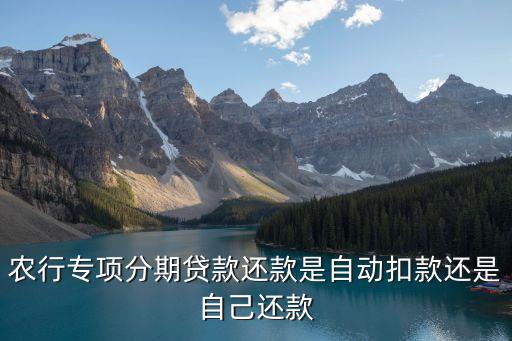 農行專項分期貸款還款是自動扣款還是自己還款