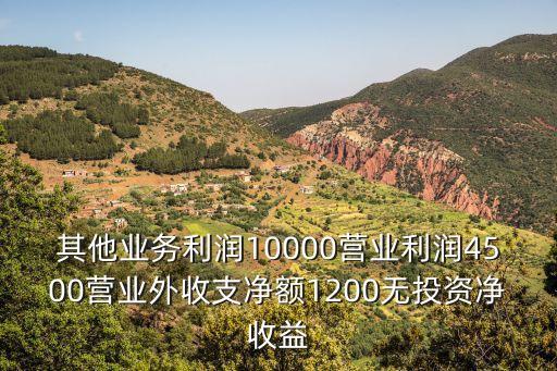 其他業(yè)務(wù)利潤(rùn)10000營(yíng)業(yè)利潤(rùn)4500營(yíng)業(yè)外收支凈額1200無(wú)投資凈收益