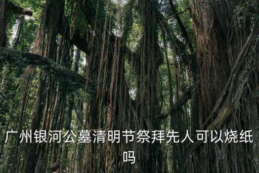 廣州銀河公墓清明節祭拜先人可以燒紙嗎