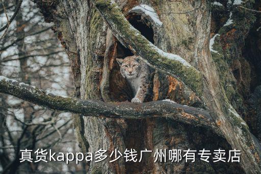 真貨kappa多少錢廣州哪有專賣店