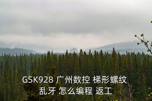 GSK928 廣州數(shù)控 梯形螺紋 亂牙 怎么編程 返工