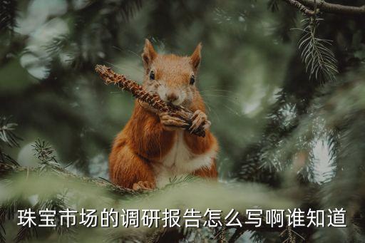 珠寶市場的調研報告怎么寫啊誰知道