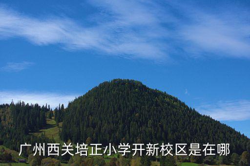 廣州西關培正小學開新校區是在哪