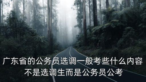 廣東省的公務(wù)員選調(diào)一般考些什么內(nèi)容 不是選調(diào)生而是公務(wù)員公考