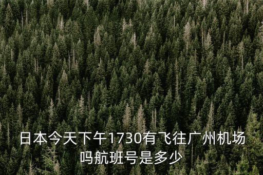 日本今天下午1730有飛往廣州機場嗎航班號是多少