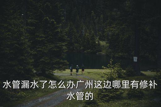 廣州海珠區地下室漏水修補，廣州市海珠區哪里有修樓房防水補漏