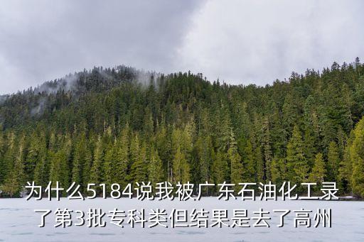廣州宏遠石油化工，宏大石化屬于中國石化嗎