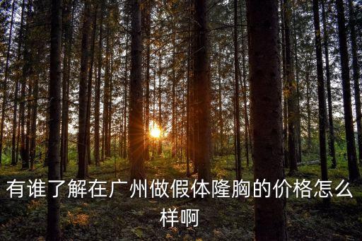 有誰了解在廣州做假體隆胸的價格怎么樣啊
