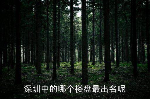 深圳中的哪個(gè)樓盤最出名呢