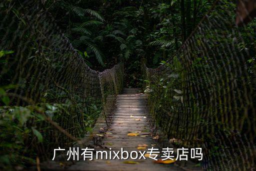 廣州有mixbox專賣店嗎