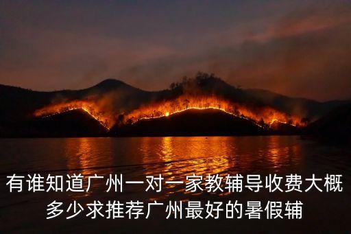 有誰知道廣州一對一家教輔導(dǎo)收費大概多少求推薦廣州最好的暑假輔