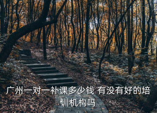 廣州補(bǔ)習(xí)機(jī)構(gòu)價(jià)目表，廣州一對(duì)一補(bǔ)課多少錢 有沒(méi)有好的培訓(xùn)機(jī)構(gòu)嗎