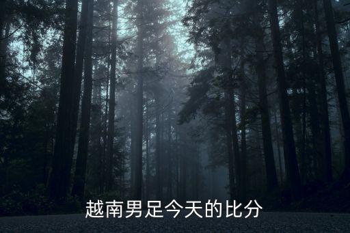 越南男足今天的比分