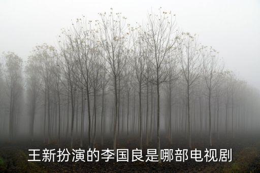 王新扮演的李國良是哪部電視劇