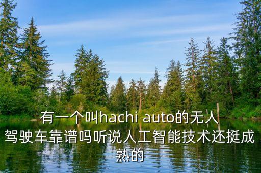 有一個(gè)叫hachi auto的無(wú)人駕駛車靠譜嗎聽(tīng)說(shuō)人工智能技術(shù)還挺成熟的