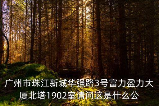 廣州市珠江新城華強路3號富力盈力大廈北塔1902室請問這是什么公