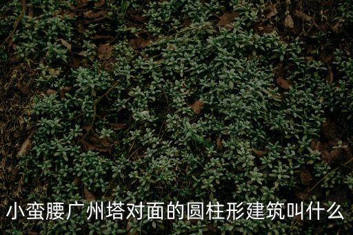 小蠻腰廣州塔對面的圓柱形建筑叫什么