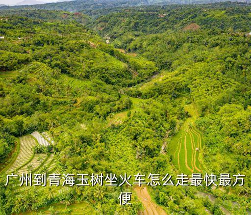 廣州坐火車到青海旅游，廣州到青海葛爾木坐火車要多少個小時多少錢