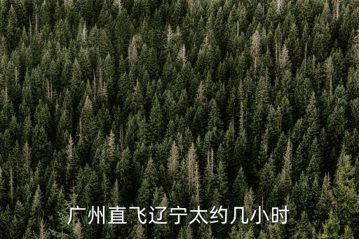 廣州直飛遼寧太約幾小時