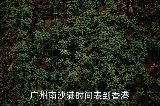 廣州南沙港時間表到香港