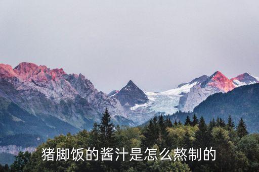 廣州豬腳飯料汁，豬腳飯鹵水配方是什么 告訴