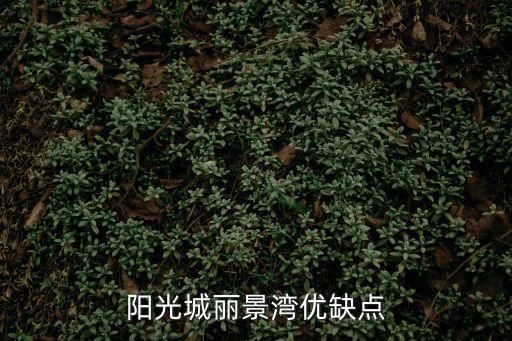 南沙萬達廣州斜對面新盤，陽光城麗景灣優缺點